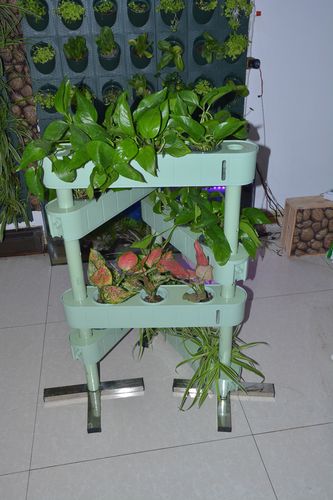 有机种植箱家庭种菜阳台园艺生态农业立体水培种植厂家直销