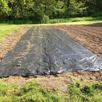 ntpep 认证黑色 pp 机织土工布卷农业园艺地面覆盖杂草垫
